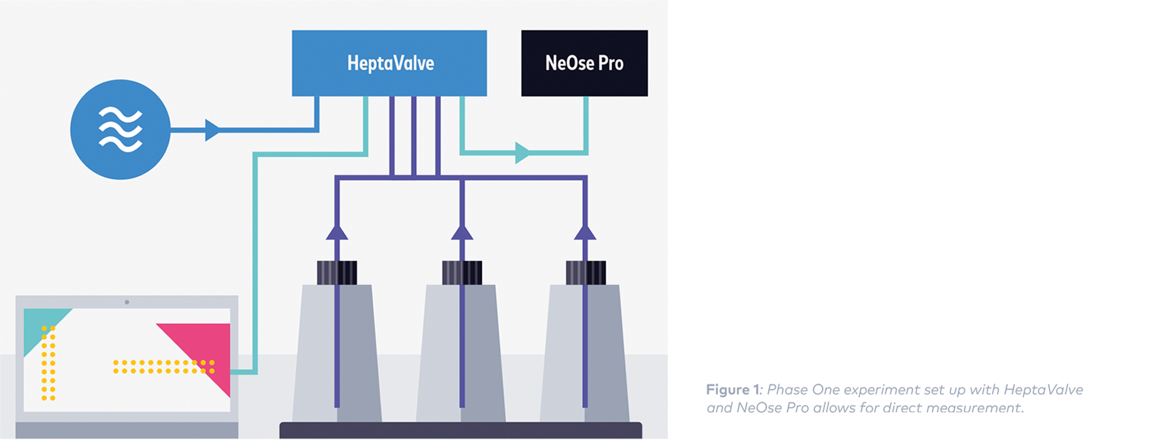 hepta valve and neose solution 1