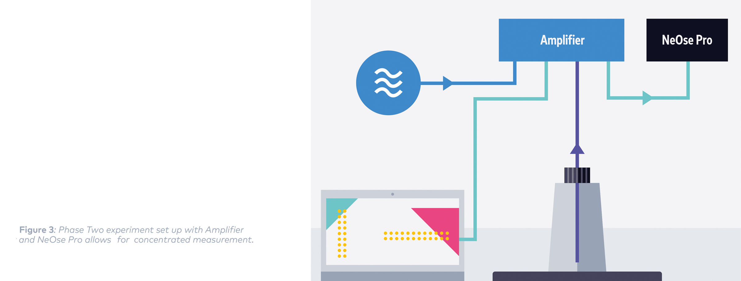 hepta valve and neose solution 3