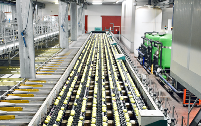 Integrating Digital Olfaction into the Blockchain for Enhanced Ingredient Traceability